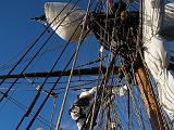 Lady Washington 036